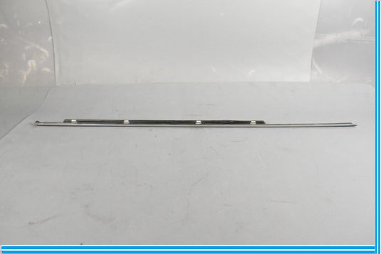 00-06 Mercedes S55 AMG S500 Rear Right Door Window Weather strip Seal Oem