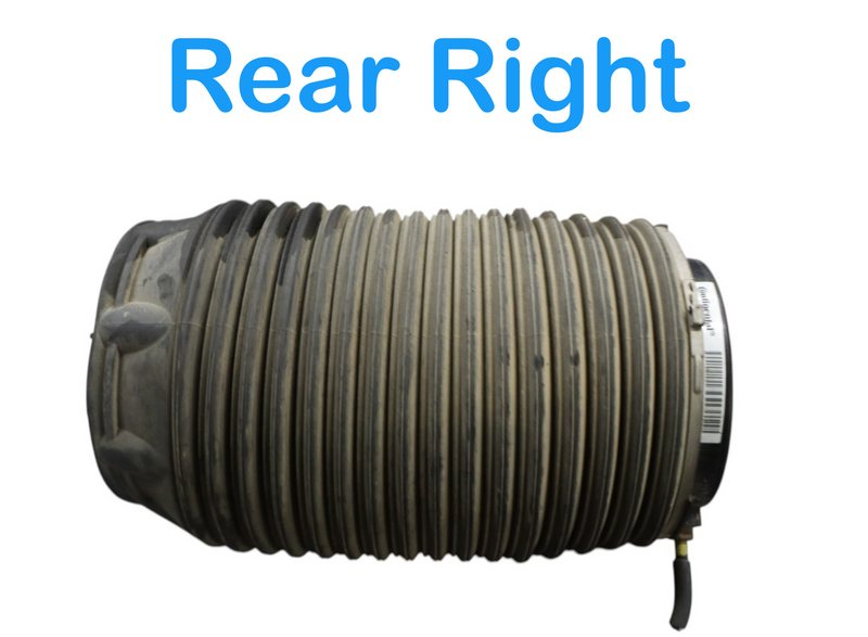 Load image into Gallery viewer, 11-16 Hyundai Equus Rear Right Side Air Suspension Spring 553603M501 Oem
