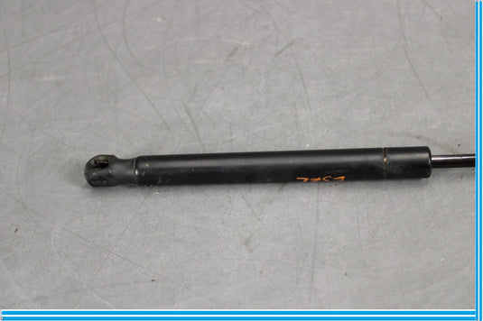 04-12 Bentley Continental Left Driver Side Boot Lid Suspension Struts Oem