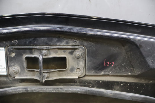 02-05 Ford Thunderbird 3.9L V8 Front Hood Bonnet Cover Shell Panel Assembly Oem