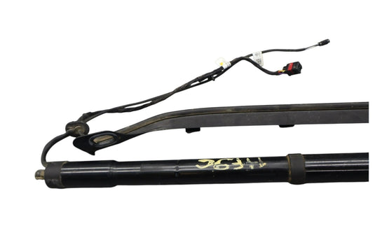 11-17 Volkswagen Touareg Rear Right Trunk Lift Cylinder Support Shock Strut OEM