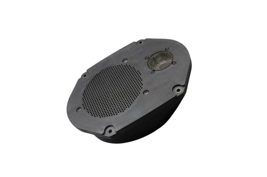 02-05 Ford Thunderbird Right Passenger Side Door Audio Speaker XW7F18808CA Oem