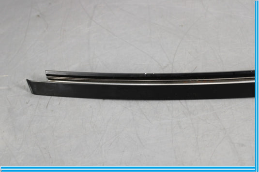 09-15 BMW 750i 750Li F02 F01 Rear Right Door Window Glass Guide Channel Oem