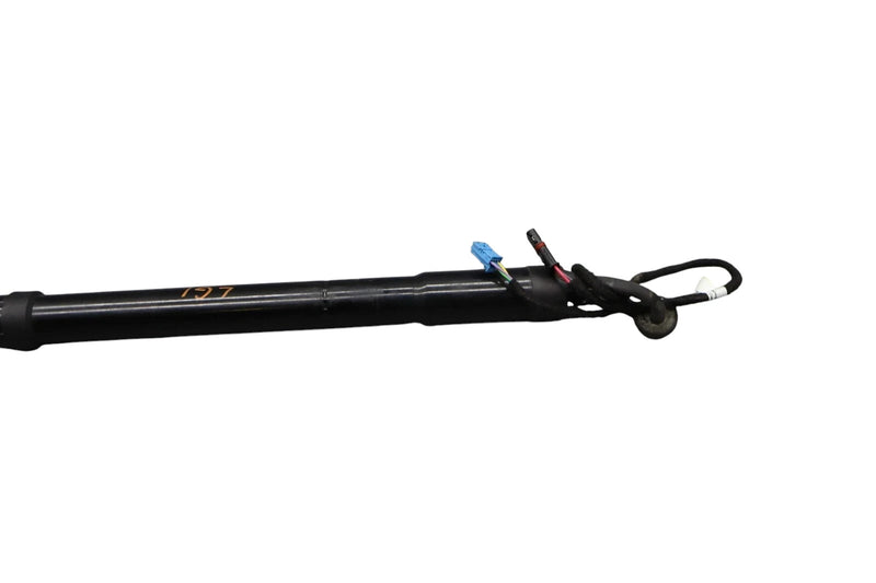 Load image into Gallery viewer, 10-16 Porsche Panamera 970 Rear Left Side Trunk Lid Shock Lift Support Strut Oem
