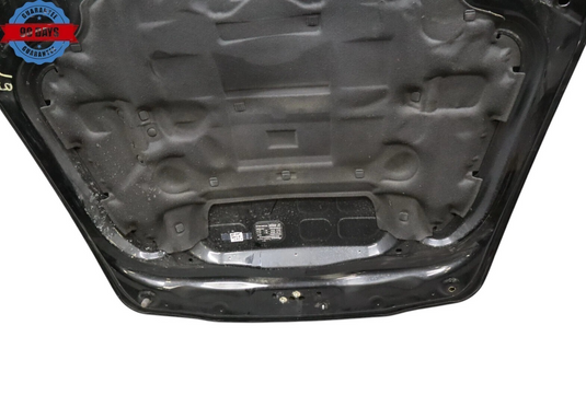 10-16 Porsche Panamera Front Hood Bonnet Cover Panel Assembly 97051101106 OEM