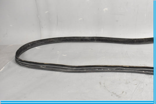 18-20 Jaguar E-Pace Rear Right Passenger Door Body Weatherstrip Seal Oem