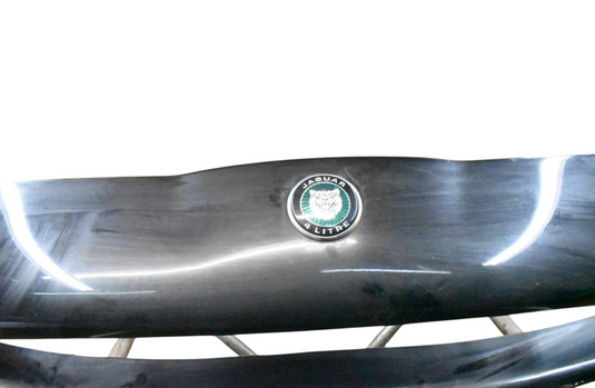 97-00 Jaguar X100 XK8 XKR Front Bumper Shell Cover Panel Assembly Black OEM