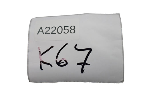 14-21 BMW I01 i3 101 Rear Left Driver Side Door Window Auto Glass Oem