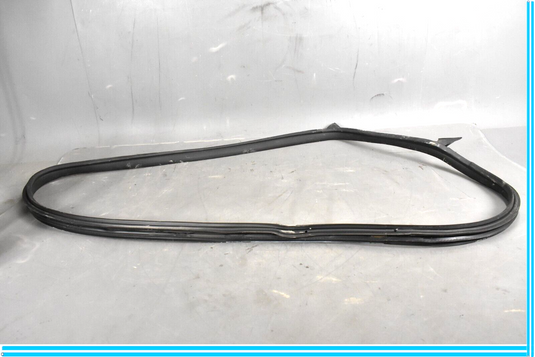 12-18 Mercedes CLS550 W219 Rear Right Passenger Door Whether Strip Seal Oem