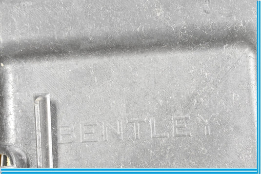 2005 Bentley Continental Rear Left Driver Seat Upper Cushion 3W3885511F OEM