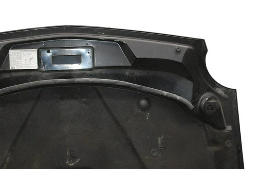 02-05 Ford Thunderbird 3.9L V8 Front Hood Cover Panel Assembly Black Oem