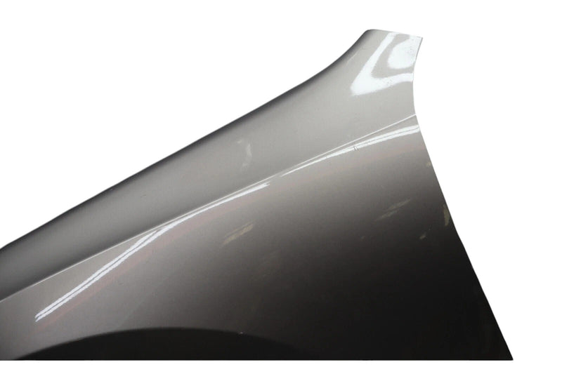 Load image into Gallery viewer, 11-16 Hyundai Equus SIG Front Left Driver Side Fender Cover Panel Silver OEM
