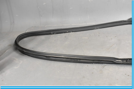 12-18 Mercedes CLS550 W219 Rear Right Passenger Door Whether Strip Seal Oem