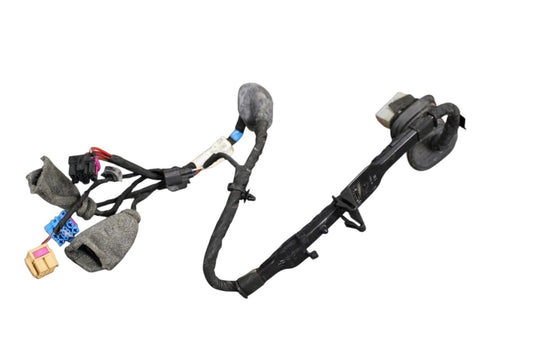 06-12 Bentley Continental Rear Right Side Door Wire Wiring Harness Loom Oem