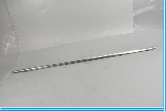 11-18 Porsche CAYENNE Front Left Driver Door Weather Strip Molding Oem