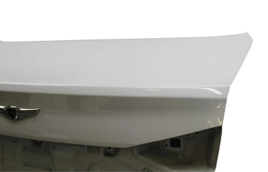 17-20 Genesis G80 Rear Trunk Deck Lid Panel Complete Assembly 69200B1520 OEM