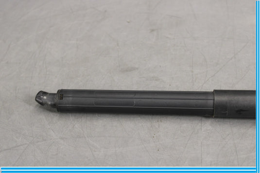 07-12 Mercedes X164 GL550 GL450 Rear Left Side Trunk Tailgate Shock Strut Oem