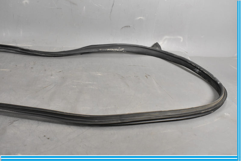Load image into Gallery viewer, 12-18 Mercedes CLS550 W219 Front Right Passenger Door Whether Strip Seal Oem
