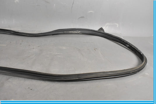 12-18 Mercedes CLS550 W219 Front Right Passenger Door Whether Strip Seal Oem