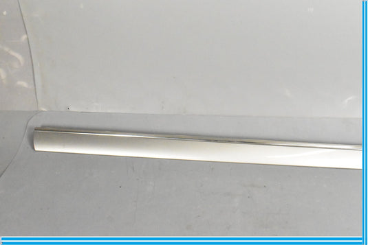 00-06 Mercedes CL500 CL55 AMG W215 Right Door Molding Trim 2156900862 Oem