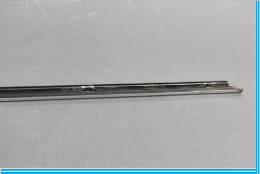 00-06 Mercedes S500 S600 W220 Front Left Driver Door Rub Strip Molding Oem