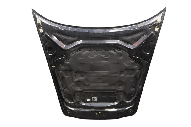 Load image into Gallery viewer, 10-16 Porsche Panamera Front Hood Bonnet Cover Panel Assembly 97051101106 OEM
