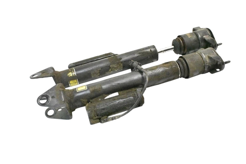 Load image into Gallery viewer, 06-13 Mercedes W251 R500 R350 Rear Left and Right Suspension Shock Strut Set OEM
