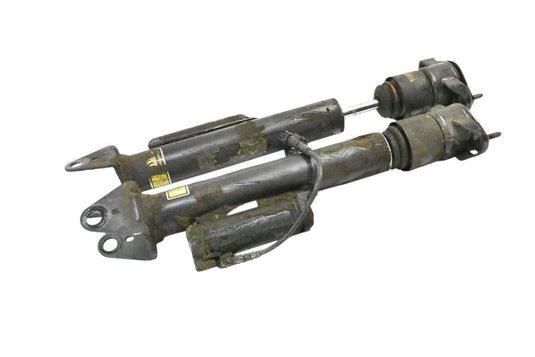 06-13 Mercedes W251 R500 R350 Rear Left and Right Suspension Shock Strut Set OEM