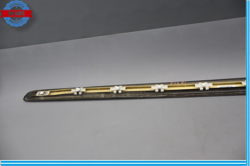 Load image into Gallery viewer, 06-12 Mercedes ML500 X164 Front Left Driver Side Exterior Door Molding Trim Oem
