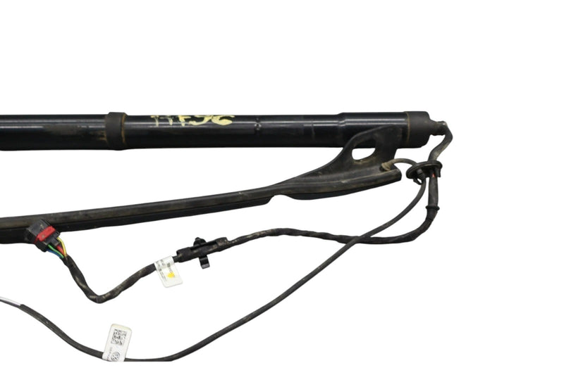 Load image into Gallery viewer, 11-17 Volkswagen Touareg Rear Right Trunk Lift Cylinder Support Shock Strut OEM

