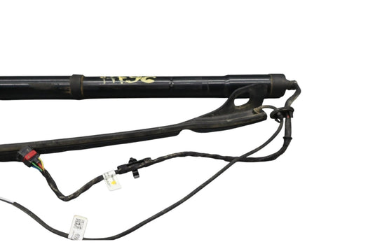 11-17 Volkswagen Touareg Rear Right Trunk Lift Cylinder Support Shock Strut OEM