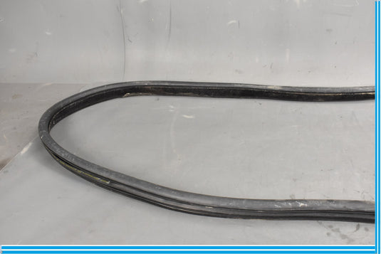 18-20 Jaguar E-Pace Rear Right Passenger Door Body Weatherstrip Seal Oem