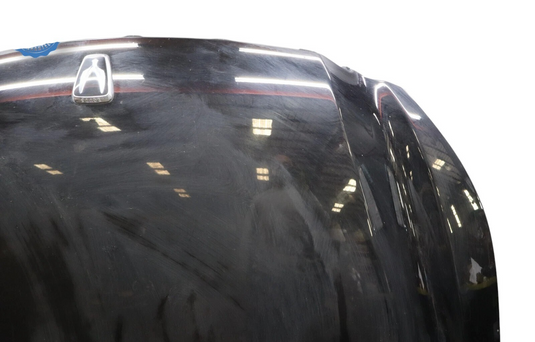 11-12 Hyundai Equus Front Hood Bonnet Lid Shell Panel Black 664003N000 OEM