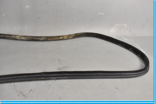 18-20 Jaguar E-Pace Front Right Passenger Door Body Weatherstrip Seal Oem
