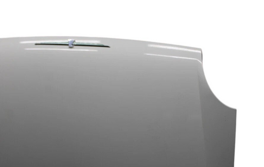 02-05 Ford Thunderbird Front Hood Bonnet Cover Panel Assembly 1W637640110 Oem