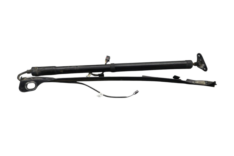 Load image into Gallery viewer, 11-17 Volkswagen Touareg Rear Left Trunk Lift Cylinder Support Shock Strut Oem
