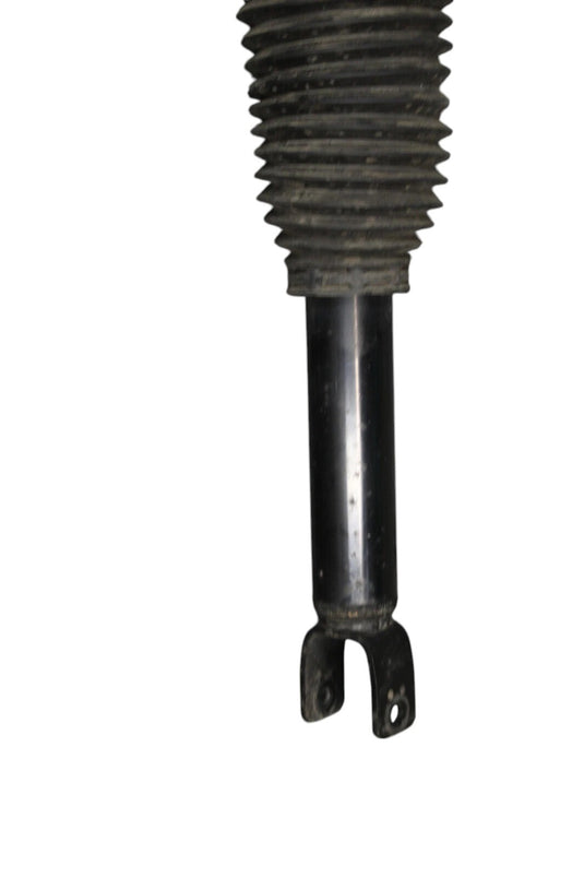 03-10 Bentley Continental Rear Left Driver Air Ride Air Shock Strut Absorber Oem