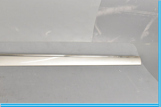 00-06 Mercedes CL500 CL55 AMG W215 Right Door Molding Trim 2156900862 Oem