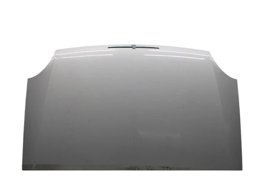 02-05 Ford Thunderbird Front Hood Bonnet Cover Panel Assembly 1W637640110 Oem