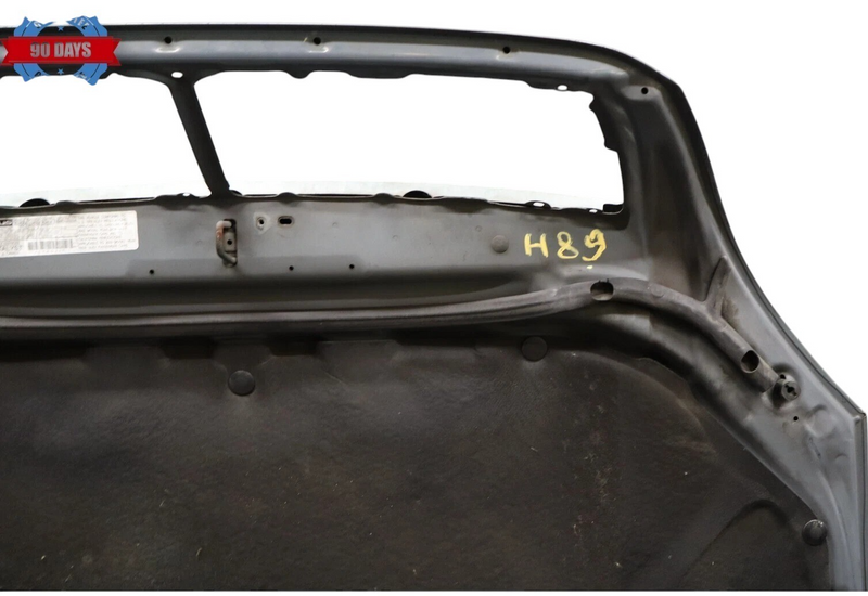 Load image into Gallery viewer, 01-03 Lexus LS430 UCF30L Front Hood Bonnet Panel Assembly 53301-50050 OEM
