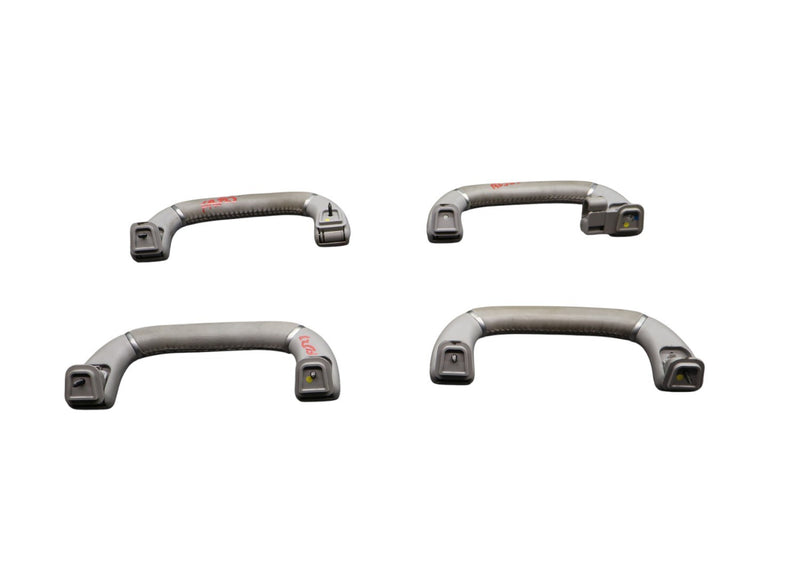 Load image into Gallery viewer, 10-13 Hyundai Equus GLS Interior Roof Handle Interior Grab Handle Set of 4 Oem

