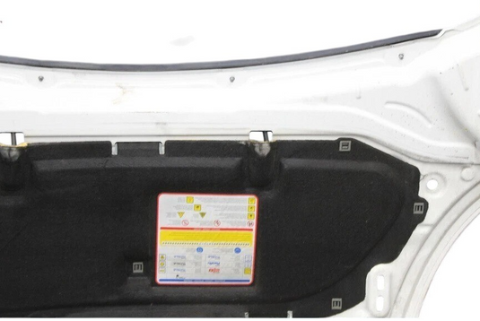14-19 Fiat 500L Front Hood Bonnet Shell Cover Panel Assembly Silver 68210465 OEM