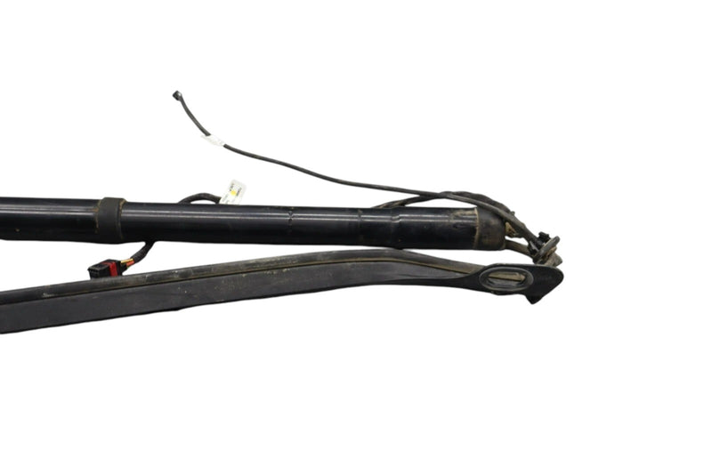 Load image into Gallery viewer, 11-17 Volkswagen Touareg Rear Left Trunk Lift Cylinder Support Shock Strut Oem
