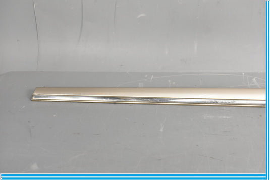 00-06 Mercedes S500 S600 W220 Front Right Passenger Door Rub Strip Molding Oem