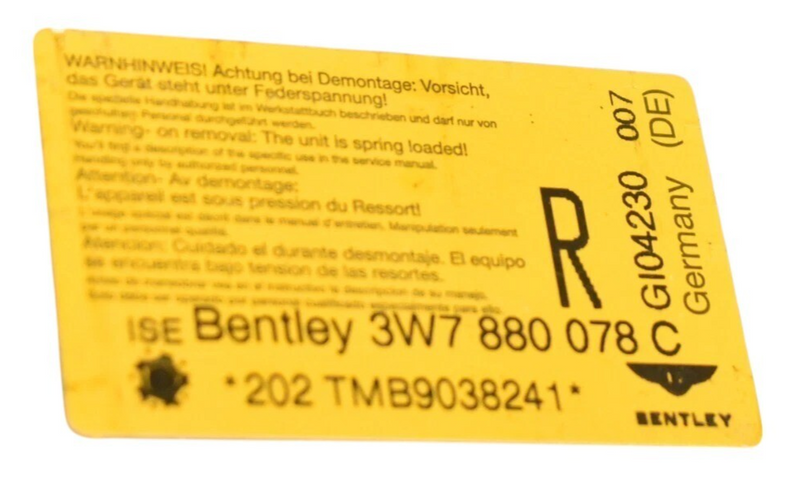 Load image into Gallery viewer, 2008 Bentley Continental GTC Rear Right Side Roll Over Protection 3W7880078C Oem
