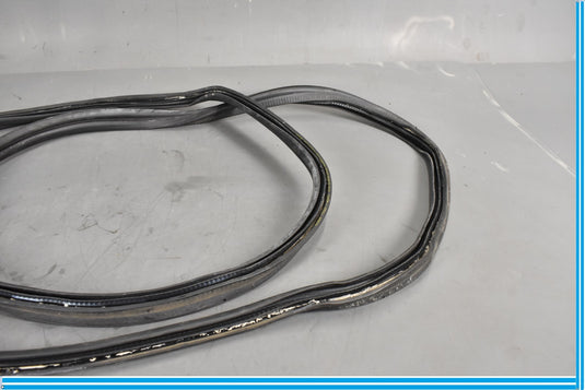 18-20 Jaguar E-Pace Rear Right Passenger Door Body Weatherstrip Seal Oem