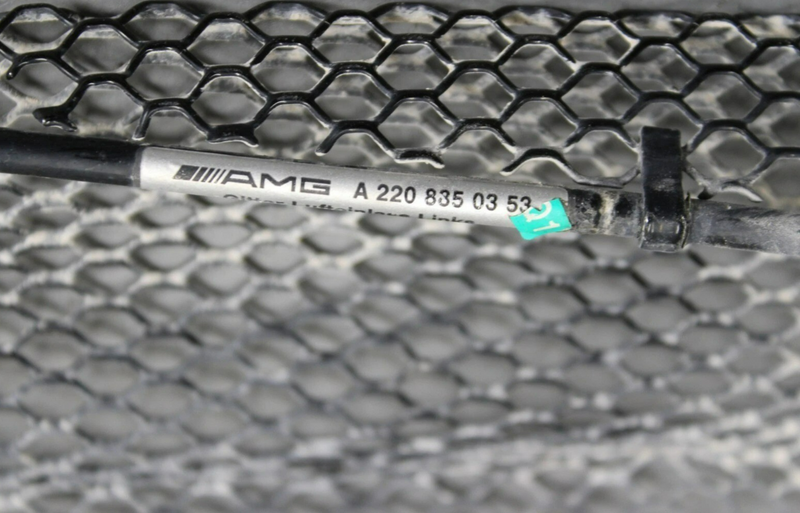Load image into Gallery viewer, 00-02 Mercedes S500 S600 Front Left Side Bumper Cover Grille Grill Mesh Oem
