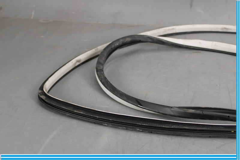 Load image into Gallery viewer, 11-20 Infiniti QX56 QX80 Rear Left Side Door Window Weather Strip Seal Oem
