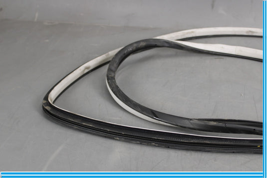 11-20 Infiniti QX56 QX80 Rear Left Side Door Window Weather Strip Seal Oem