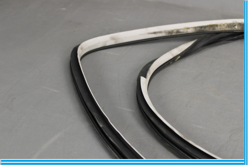 Load image into Gallery viewer, 11-20 Infiniti QX56 QX80 Rear Right Side Door Window Weather Strip Seal Oem
